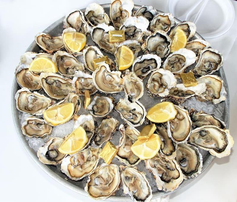 Pour Les Amoureux Des Vieilles Pierres Poussan المظهر الخارجي الصورة
